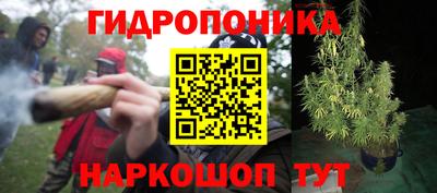 наркотики Новодвинск