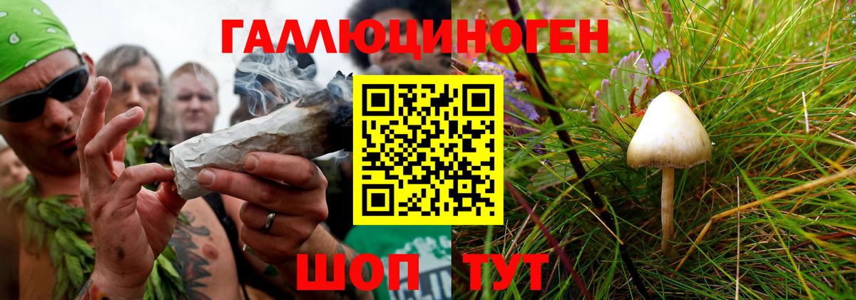 Галлюциногенные грибы мицелий Бирск